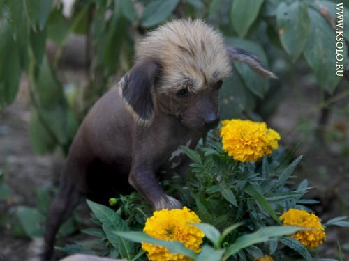 �������, ����� ����������� ��������