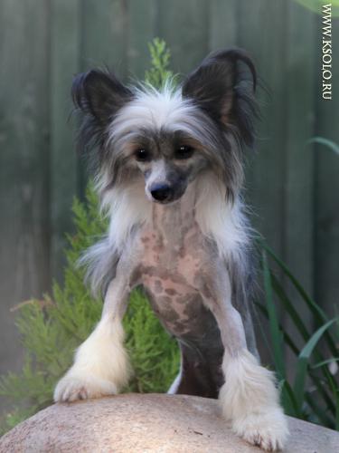 �������, ����� ����������� ��������