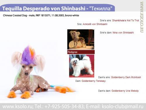 �������, ����� ����������� ��������