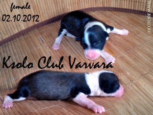 �������, ����� ����������� ��������