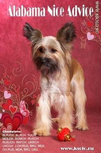 �������, ����� ����������� ��������