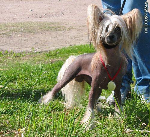 �������, ����� ����������� ��������