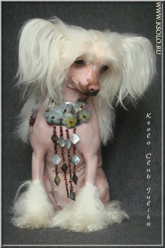 �������, ����� ����������� ��������