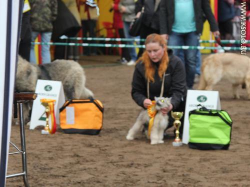 �������, ����� ����������� ��������