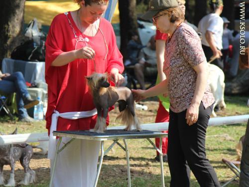 �������, ����� ����������� ��������