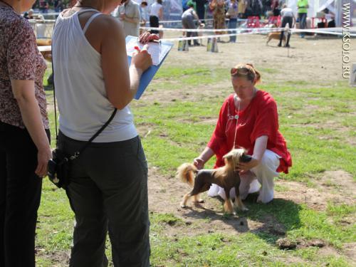 �������, ����� ����������� ��������