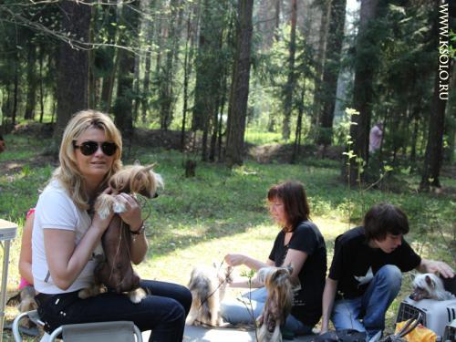 �������, ����� ����������� ��������