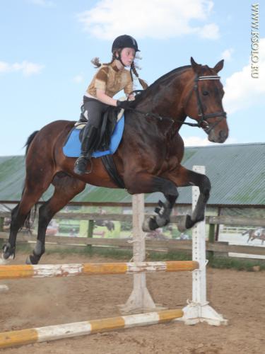 �������, ����� ����������� ��������