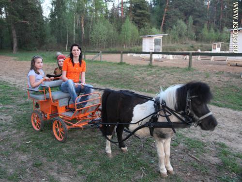 �������, ����� ����������� ��������