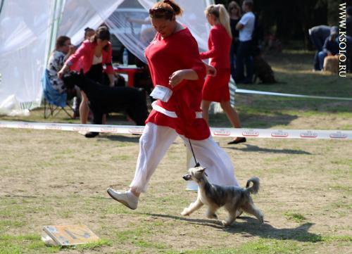 �������, ����� ����������� ��������