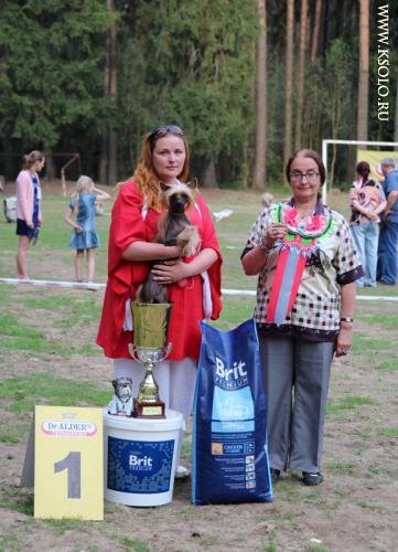 �������, ����� ����������� ��������