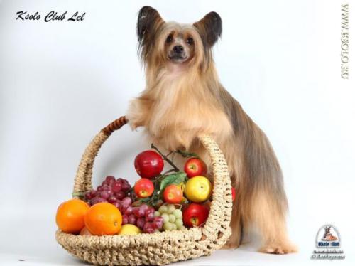 �������, ����� ����������� ��������