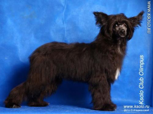 �������, ����� ����������� ��������