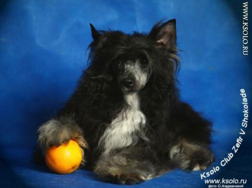 �������, ����� ����������� ��������