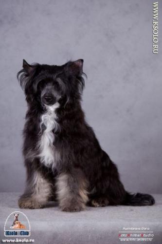 �������, ����� ����������� ��������