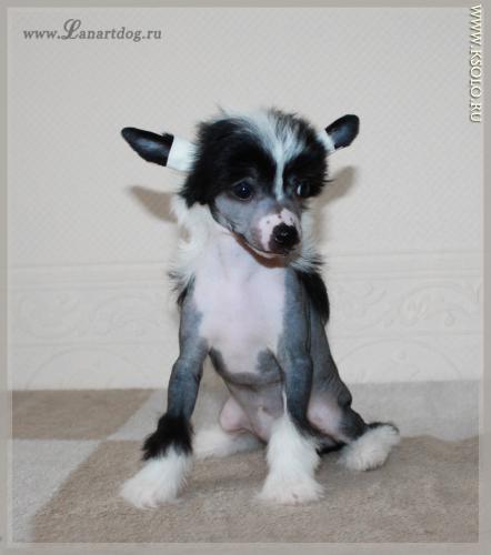 �������, ����� ����������� ��������