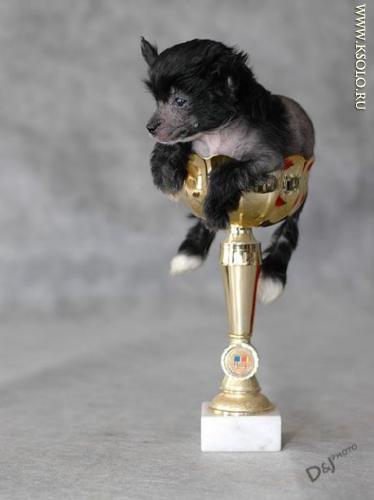 �������, ����� ����������� ��������