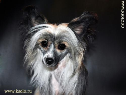 �������, ����� ����������� ��������