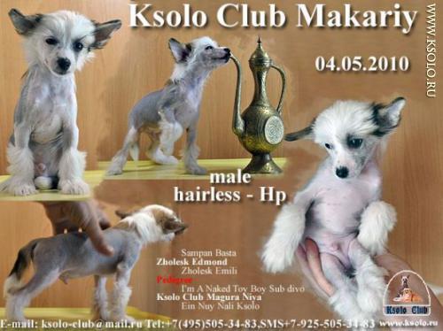 �������, ����� ����������� ��������