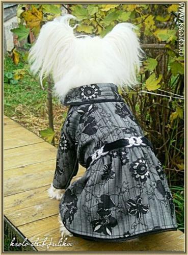 �������, ����� ����������� ��������