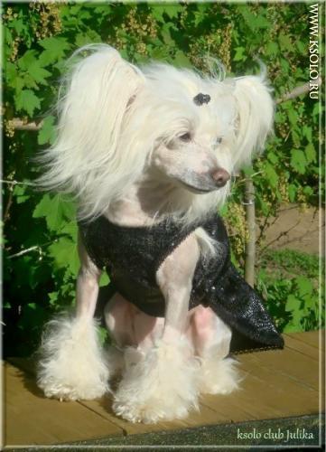 �������, ����� ����������� ��������