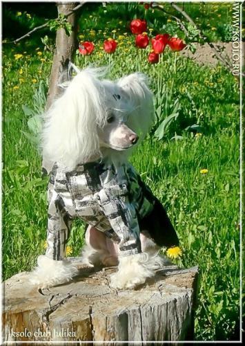 �������, ����� ����������� ��������