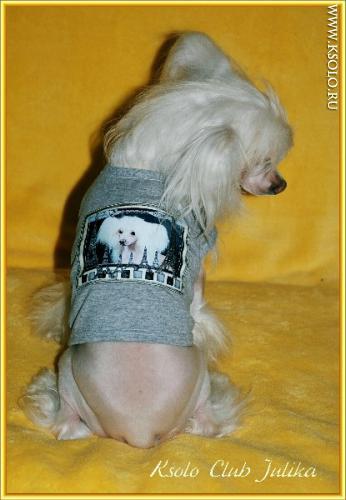 �������, ����� ����������� ��������