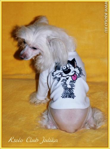 �������, ����� ����������� ��������