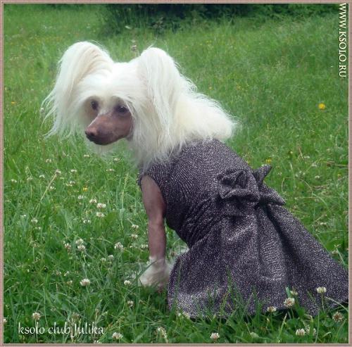 �������, ����� ����������� ��������