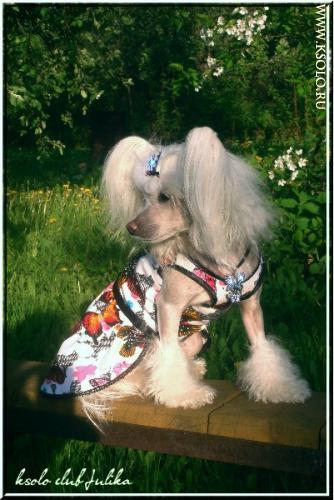 �������, ����� ����������� ��������