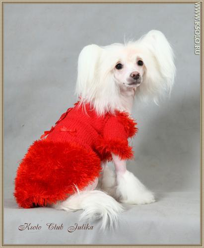 �������, ����� ����������� ��������