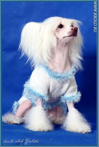 �������, ����� ����������� ��������