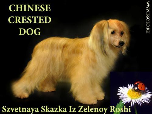 �������, ����� ����������� ��������