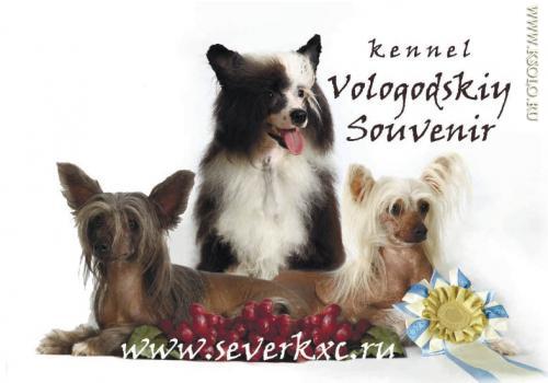 �������, ����� ����������� ��������