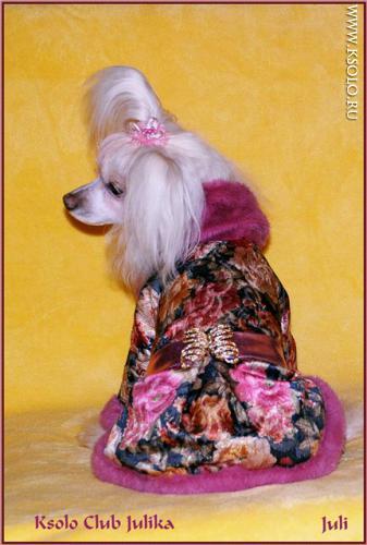 �������, ����� ����������� ��������