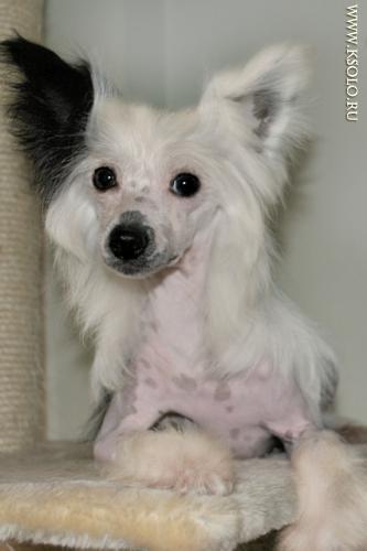 �������, ����� ����������� ��������