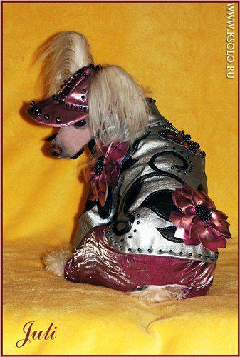 �������, ����� ����������� ��������