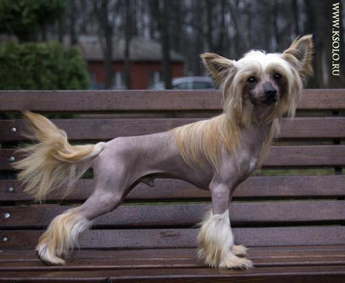 �������, ����� ����������� ��������