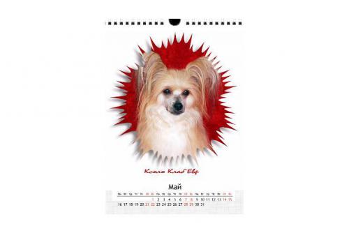 �������, ����� ����������� ��������