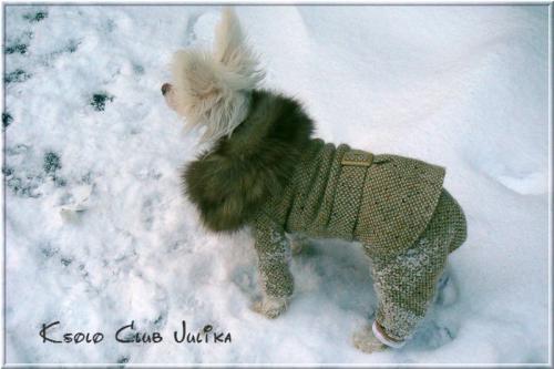 �������, ����� ����������� ��������