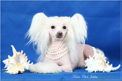 �������, ����� ����������� ��������