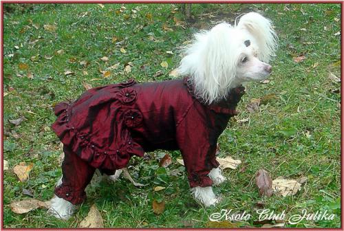 �������, ����� ����������� ��������