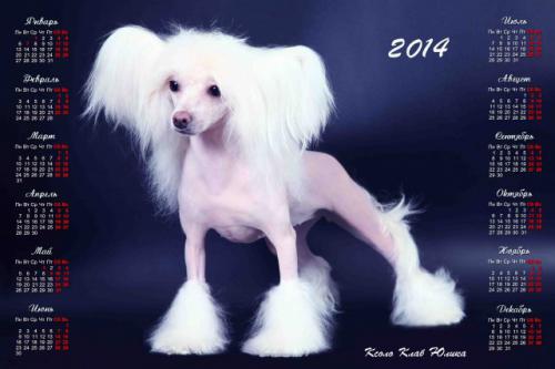 �������, ����� ����������� ��������