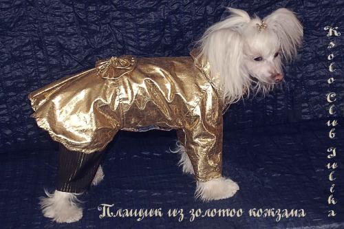 �������, ����� ����������� ��������