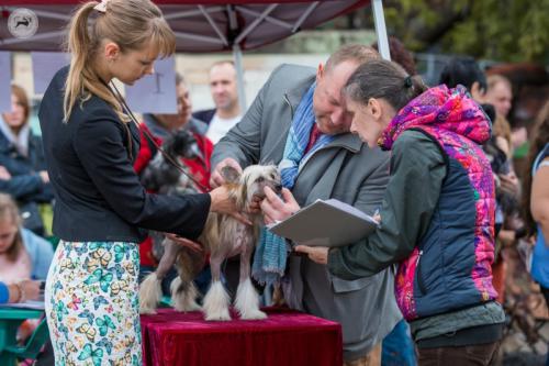 �������, ����� ����������� ��������