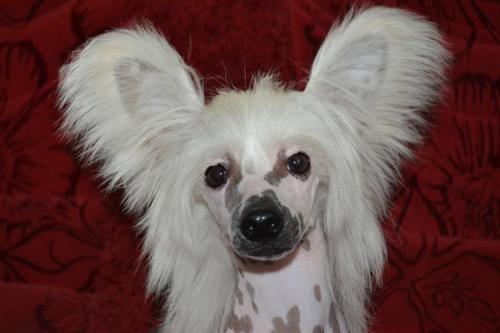 �������, ����� ����������� ��������