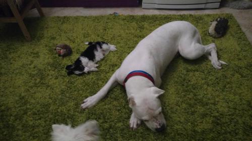 �������, ����� ����������� ��������