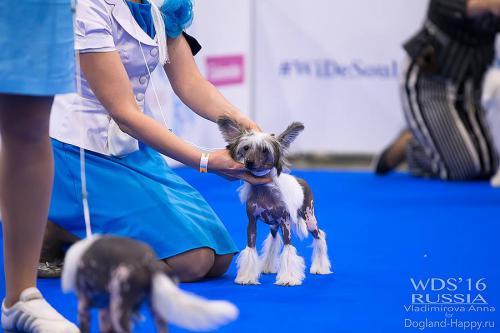 �������, ����� ����������� ��������