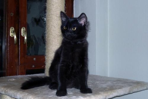 �������, ����� ����������� ��������