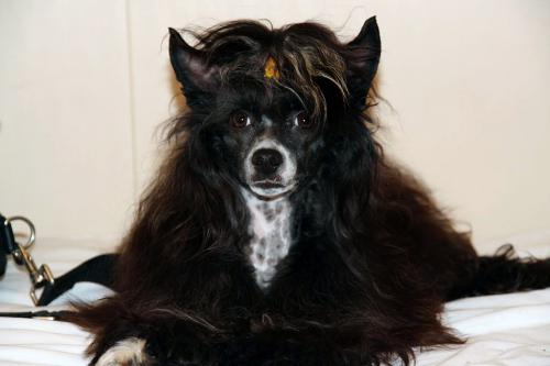 �������, ����� ����������� ��������